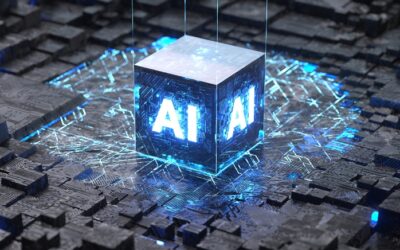 November 2025 Market Update