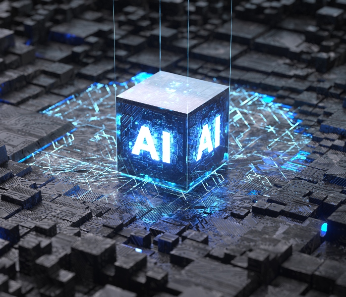 November 2025 Market Update