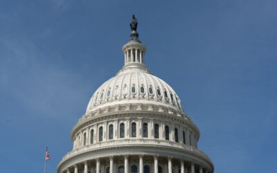 December 2025 Market Update